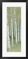 Framed Green Forest I