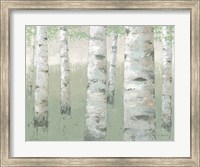 Framed Spring Birch