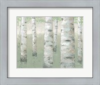 Framed Spring Birch