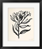 Framed Ink Flower I Cream