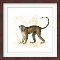 Framed Golden Monkey