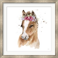 Framed Floral Pony Pink Sq