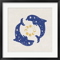 Framed Star Dolphins