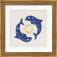 Framed Star Dolphins