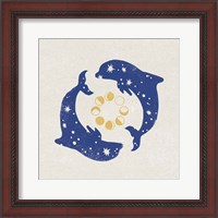 Framed Star Dolphins