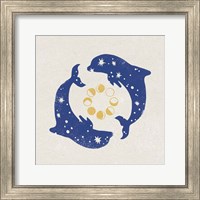 Framed Star Dolphins