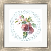 Framed 'Blooming Orchard V' border=