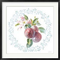 Framed Blooming Orchard V