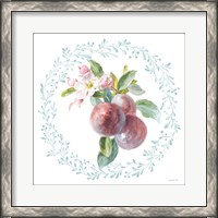 Framed Blooming Orchard V