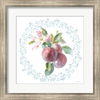 Framed 'Blooming Orchard V' border=