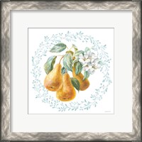 Framed 'Blooming Orchard IV' border=