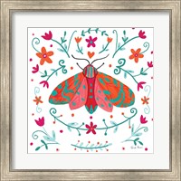 Framed Pretty Moth
