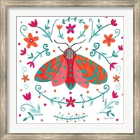 Framed Pretty Moth