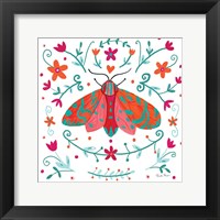 Framed Pretty Moth