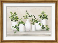 Framed Plant Life IV