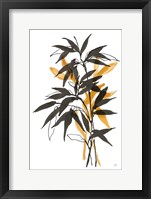 Amber Long Leaf II Framed Print