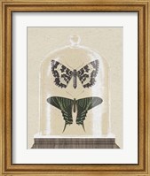 Framed Cottage Butterflies II