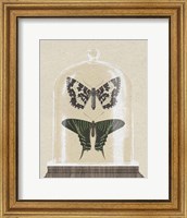 Framed Cottage Butterflies II