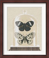 Framed Cottage Butterflies I