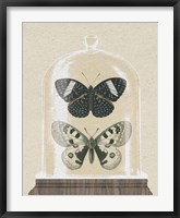 Framed Cottage Butterflies I