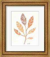 Framed Botanical Sketches III Spice