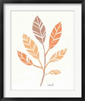 Framed Botanical Sketches III Spice