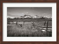 Framed Stanley Basin Fence