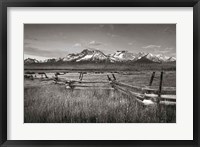 Framed Stanley Basin Fence