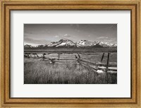 Framed Stanley Basin Fence