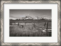 Framed Stanley Basin Fence