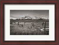 Framed Stanley Basin Fence