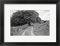 Framed Wynlass Beck