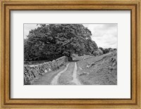 Framed Wynlass Beck