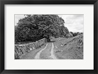 Framed Wynlass Beck