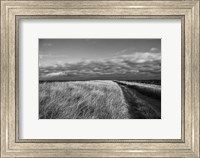 Framed Road to the Beach