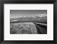 Framed Road to the Beach