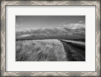 Framed Road to the Beach