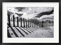 Framed Nantucket Shadows