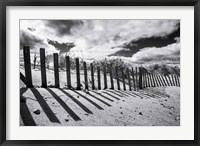 Framed Nantucket Shadows