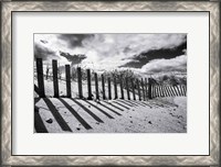 Framed Nantucket Shadows