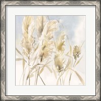 Framed Pampas Grasses
