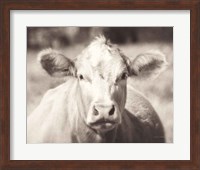 Framed Pasture Cow Neutral
