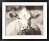 Framed Pasture Cow Neutral