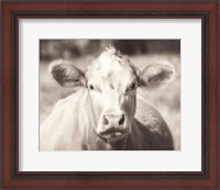 Framed Pasture Cow Neutral