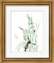 Framed 'Grasses III' border=