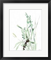 Framed 'Grasses III' border=