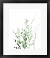 Framed 'Grasses II' border=