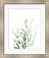 Framed Grasses II