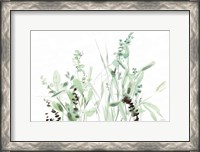 Framed Grasses I