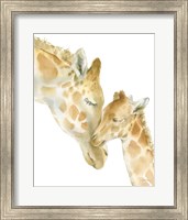 Framed Giraffe Love on White